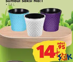 SÜMBÜL SAKSI NO.1 SÜMBÜL SAKSI NO.1